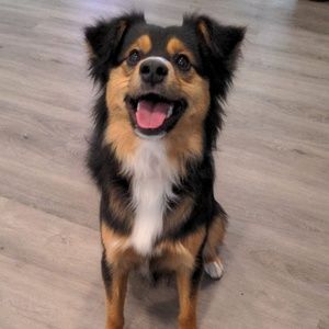 Meet your Posher, Mary ellen